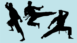 Ekstrakurikuler Pencak Silat MA Maarif Pacitan