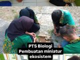 Sumatif Tengah Semester